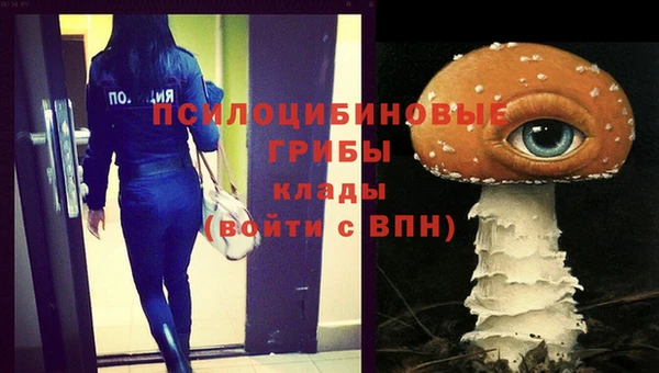 Альфа ПВП Каменск-Шахтинский