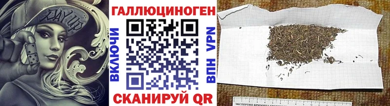 Купить закладки  Курган  Псилоцибиновые грибы мицелий 